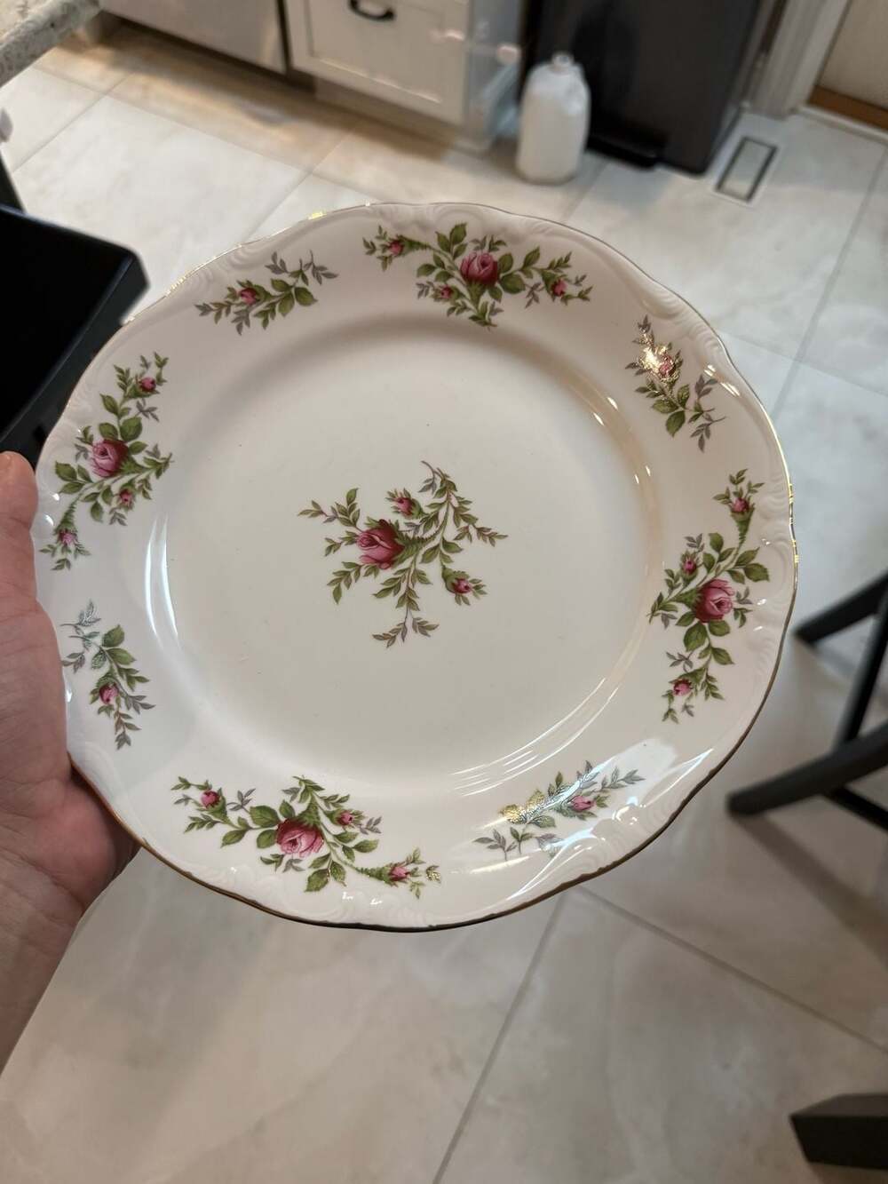 Vintage Johann Haviland Moss Rose Porcelain Dinner Plates Set of 6 - Cottagecore